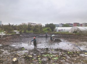 铅山河道鱼塘清淤